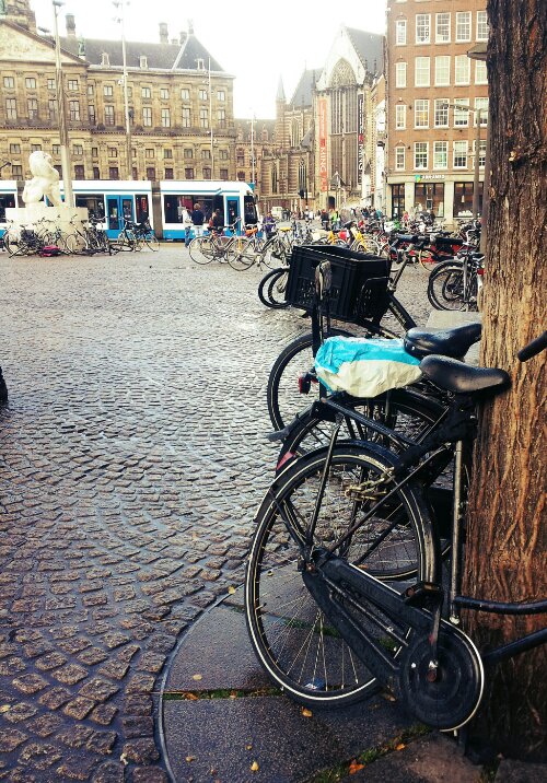 20131010_120123.jpg image