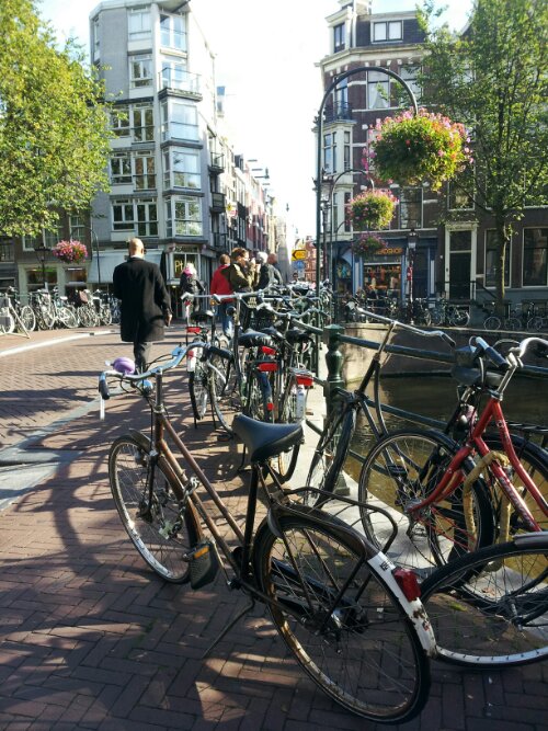 20131010_140735.jpg image